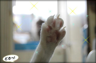 44bd0ba9.jpeg