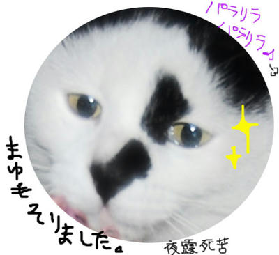 532a85b4.jpeg