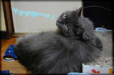 6f795412.jpg
