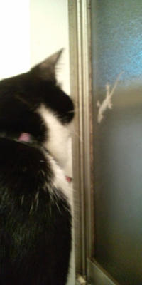 20100717213411.jpg