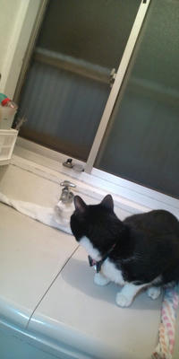 20100717213506.jpg