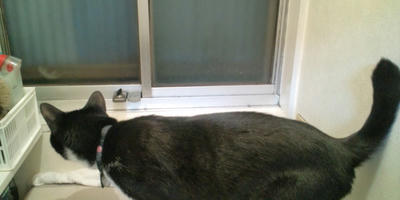 20100717233907.jpg