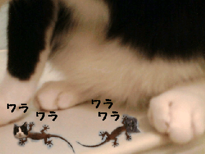11111111.gif