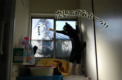 d1b43e6d.jpg