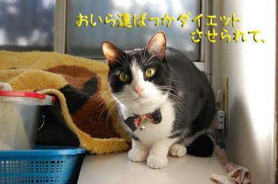 45f7d291.jpg