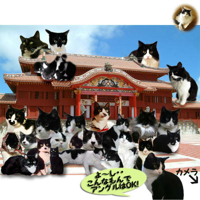 shuugou1.jpg