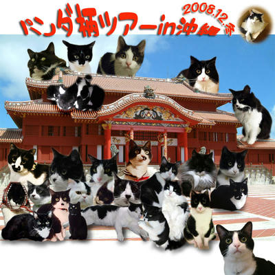 shuugou6_2.jpg