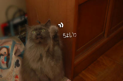 021175f3.jpeg
