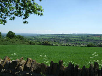 1005240074.JPG