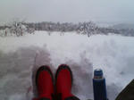 201001171018000.jpg