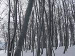 DSC00415.JPG