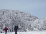 DSC00433.JPG