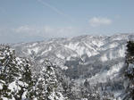 DSC00445.JPG