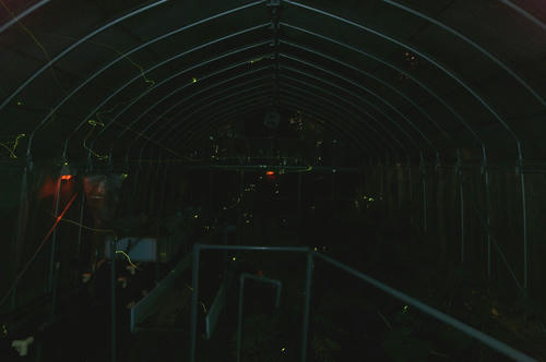 2009.6.12.jpg