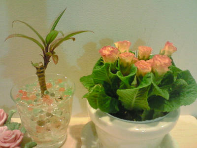 200801301750000.jpg