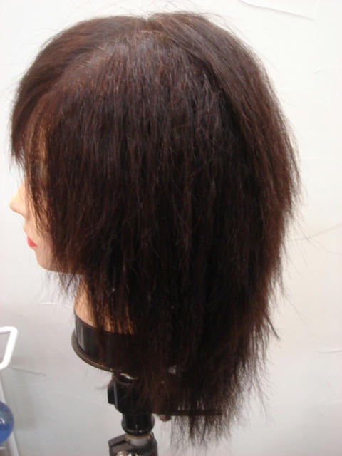DSC03462.JPG
