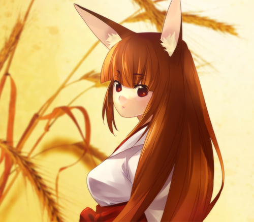 a5319241.png