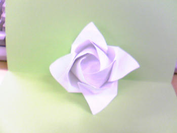 Image131.jpg