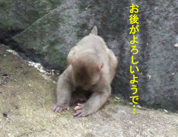 DSCF2936-1.jpg