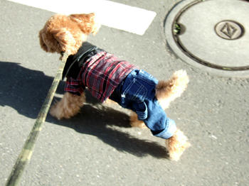 DSCF3815.JPG