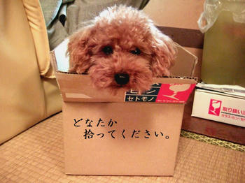 DSCF3935.JPG