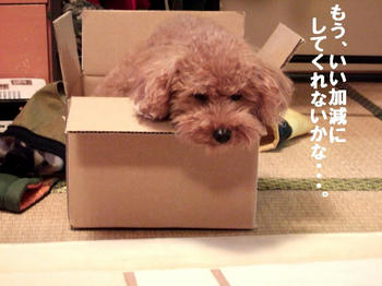DSCF3943.JPG