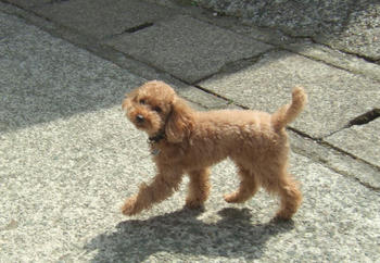 DSCF4116.JPG