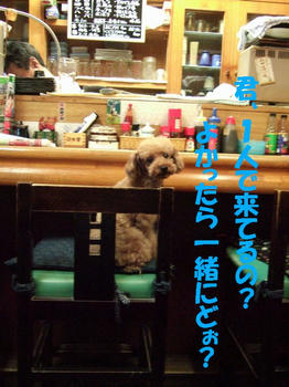 DSCF5808.JPG