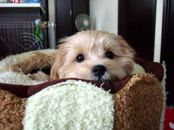 DSCF6037.JPG