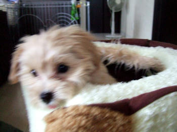 DSCF6038.JPG