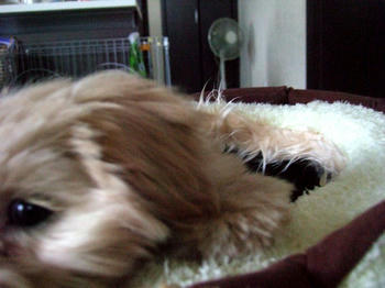 DSCF6039.JPG