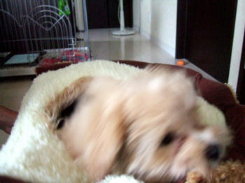 DSCF6041.JPG