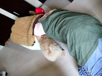 DSCF6050.JPG