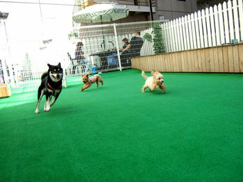 DSCF6321.JPG