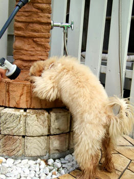 DSCF6307.JPG