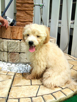 DSCF6308.JPG