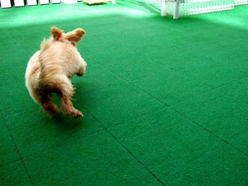 DSCF6315.JPG