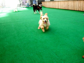 DSCF6318.JPG