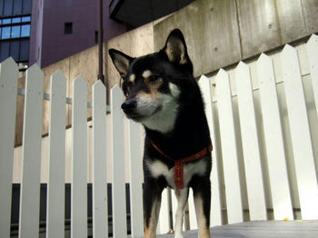 DSCF6345.JPG