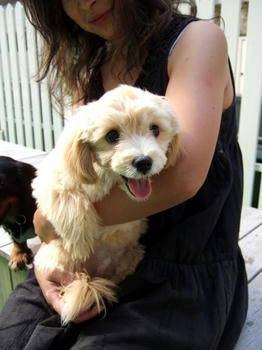 DSCF6348.JPG