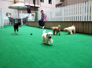 DSCF6435.JPG