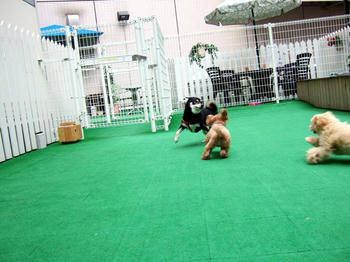 DSCF6427.JPG