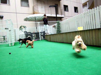 DSCF6443.JPG