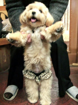 DSCF6549.JPG