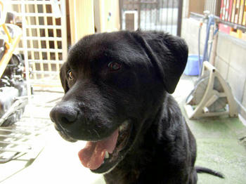 DSCF6772.JPG