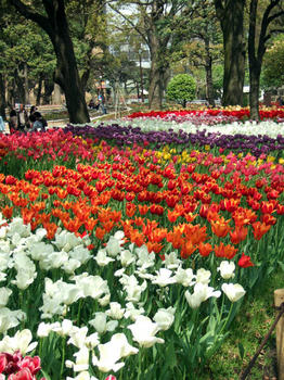 DSCF7015.JPG
