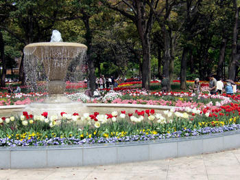 DSCF7020.JPG