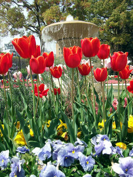 DSCF7022.JPG