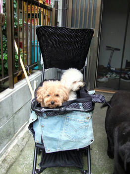 DSCF7223.JPG