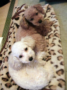 DSCF7740.JPG